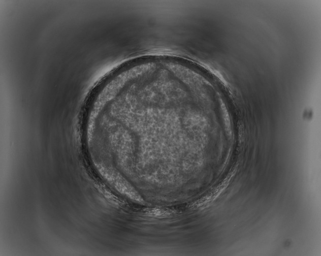 X0000099981311200806201416