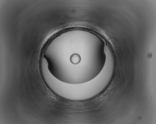 X0000099981312200806201416