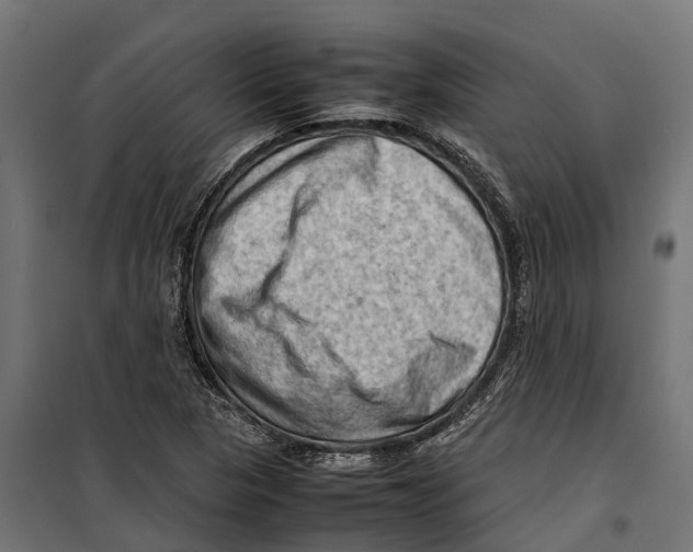 X0000099981313200806201416