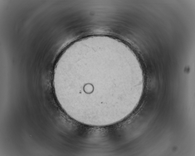 X0000099981314200806201416