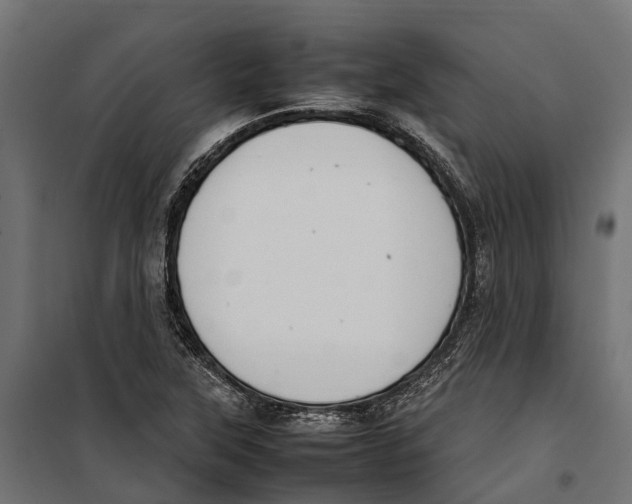 X0000099981315200806201416