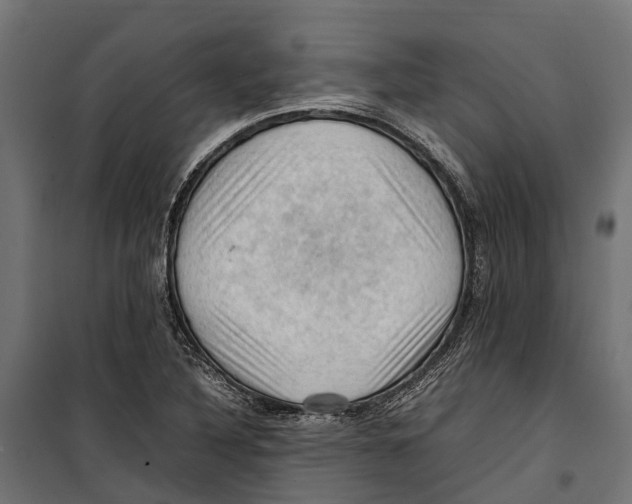 X0000099981316200806201416