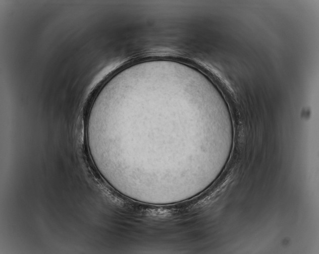 X0000099981317200806201416