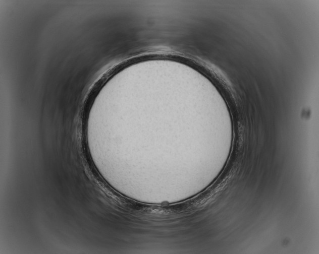 X0000099981318200806201416