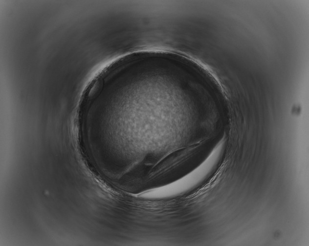 X0000099981319200806201416