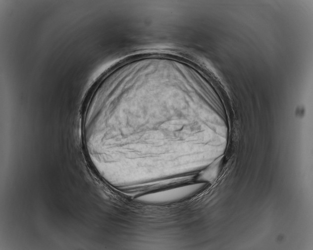 X0000099981320200806201416