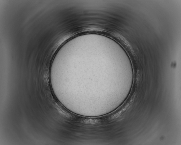 X0000099981321200806201416