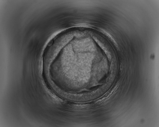 X0000099981323200806201416