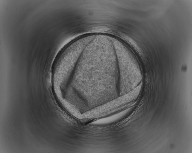 X0000099981324200806201416