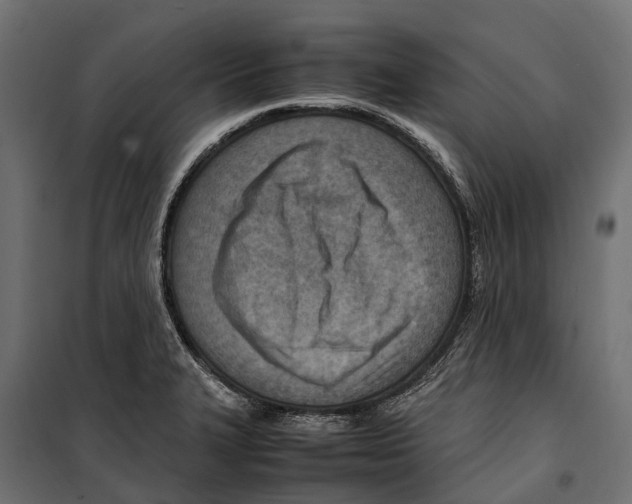 X0000099981327200806201416