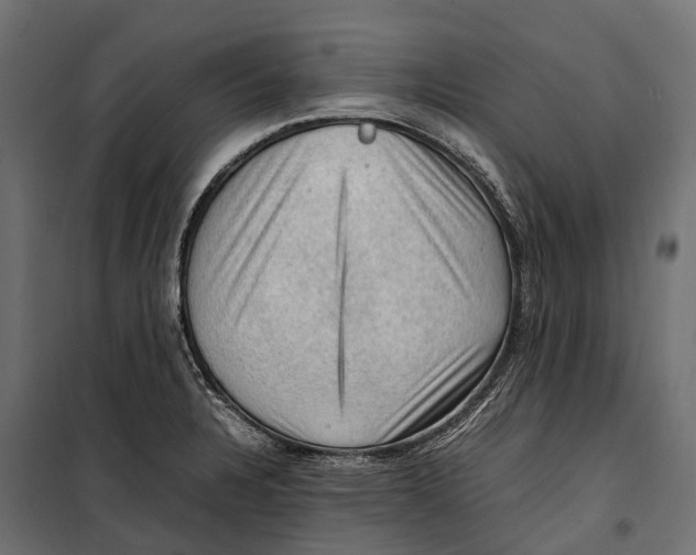 X0000099981328200806201416