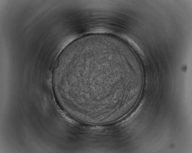 X0000099981329200806201416