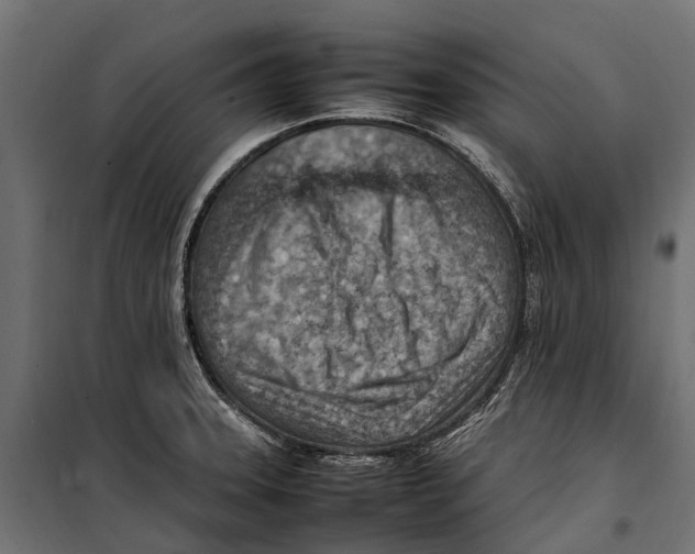 X0000099981331200806201416