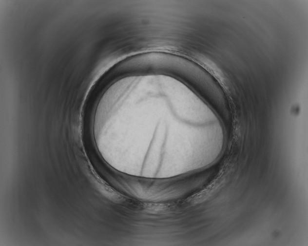 X0000099981332200806201417