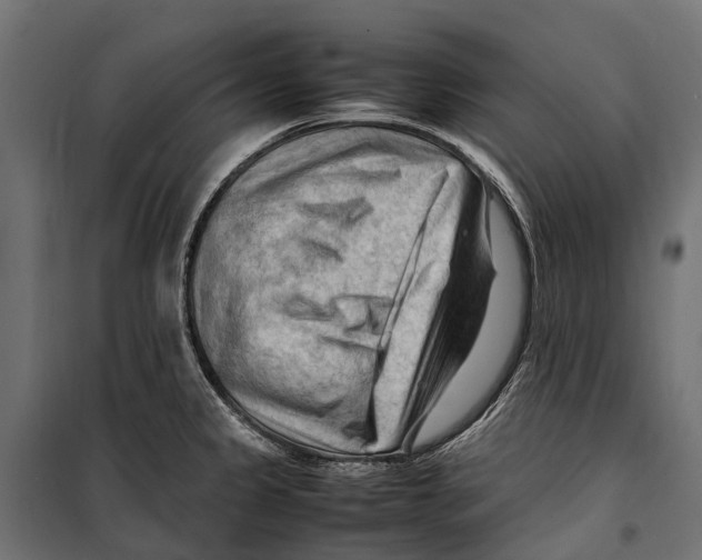 X0000099981333200806201417