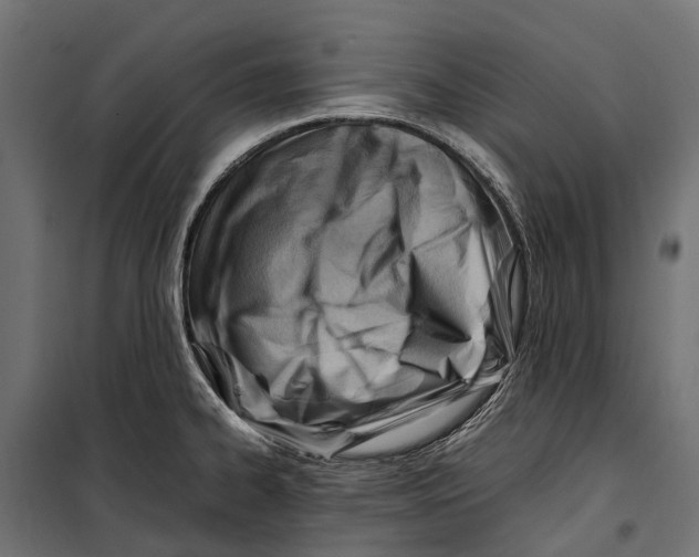 X0000099981334200806201417