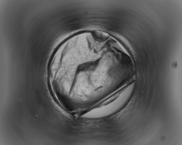 X0000099981335200806201417