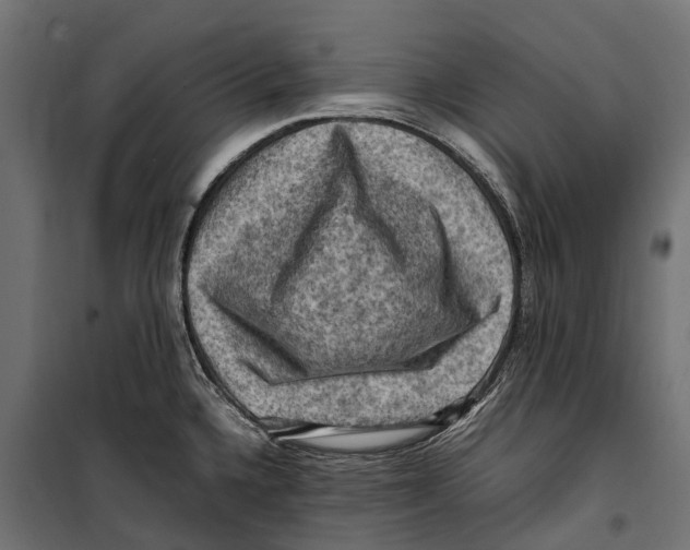 X0000099981336200806201417