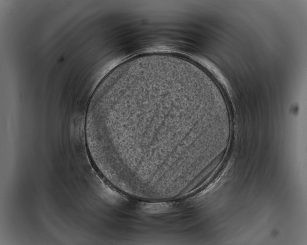 X0000099981337200806201417