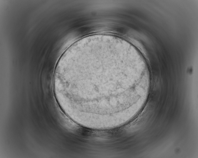 X0000099981338200806201417