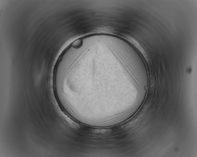 X0000099981339200806201417