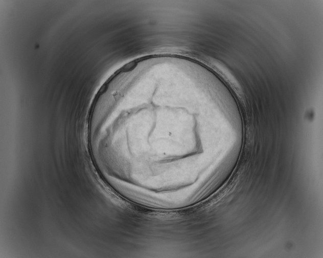 X0000099981340200806201417