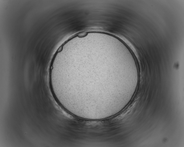 X0000099981341200806201417