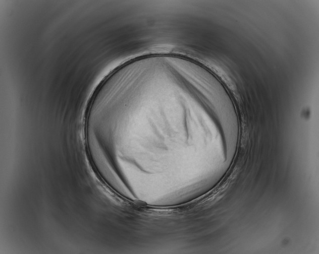 X0000099981342200806201417