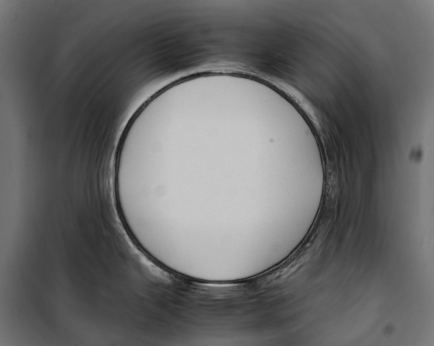 X0000099981343200806201417