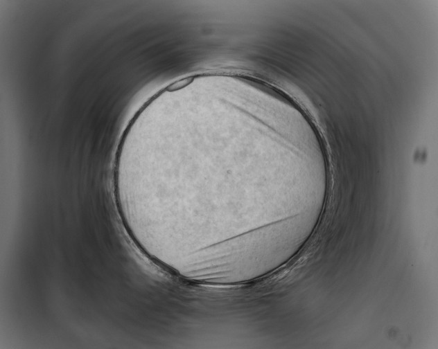 X0000099981344200806201417