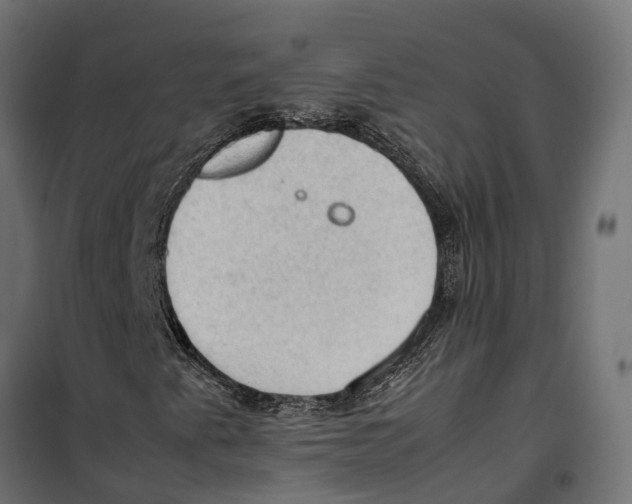 X0000099981345200806201416