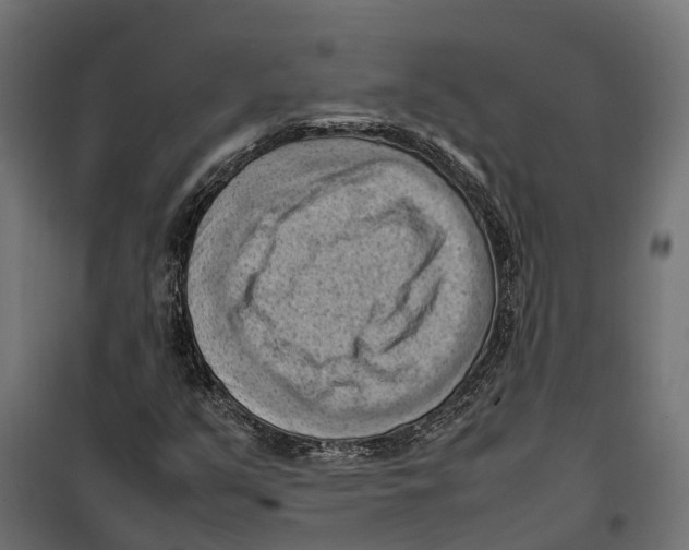 X0000099981351200806201416