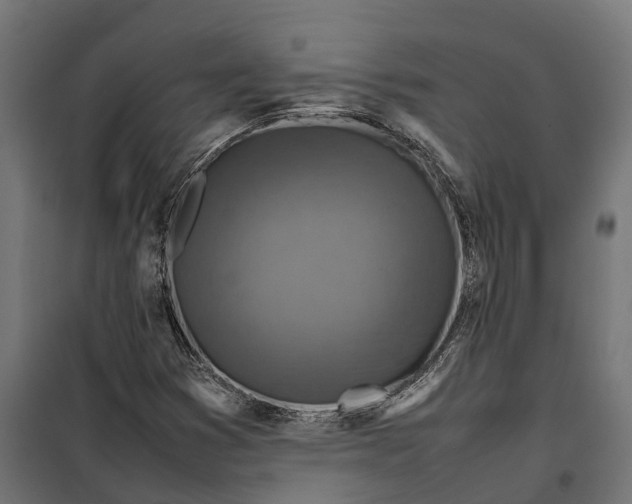 X0000099981353200806201416