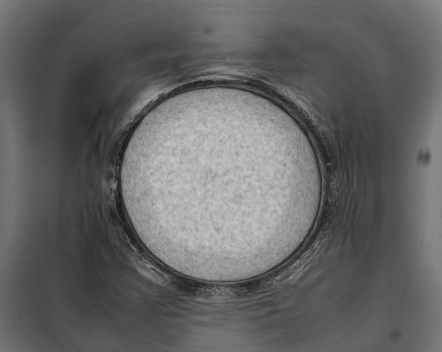 X0000099981355200806201416