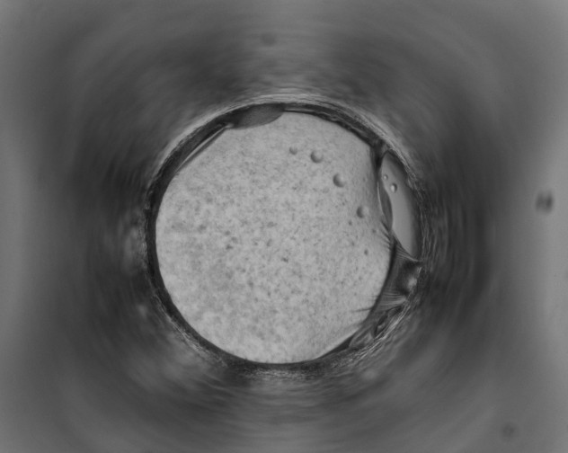 X0000099981356200806201416