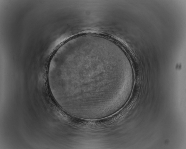 X0000099981359200806201416