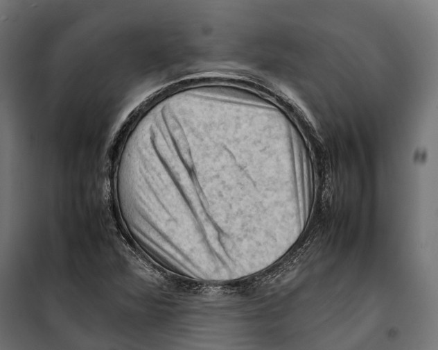 X0000099981360200806201416