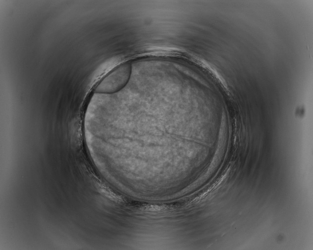 X0000099981362200806201416