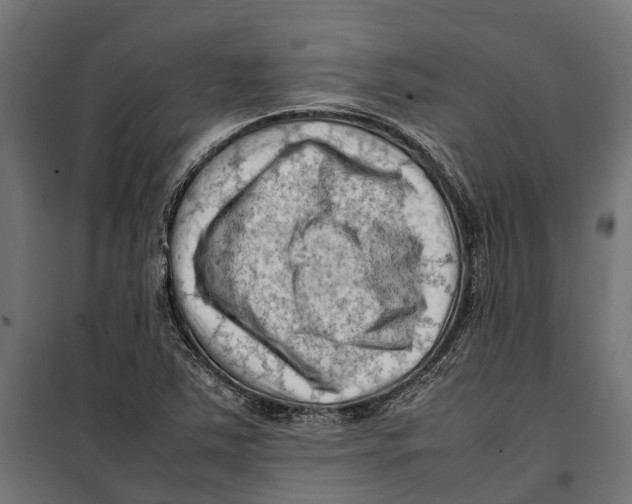 X0000099981363200806201416