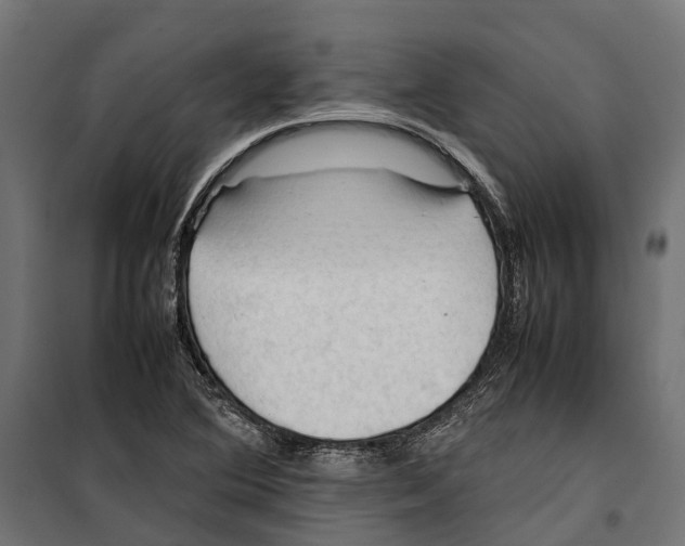 X0000099981364200806201416