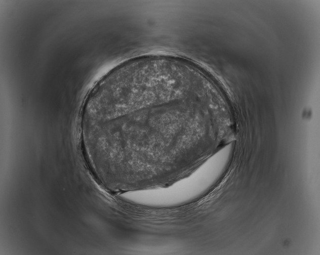 X0000099981367200806201415