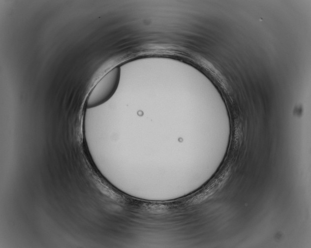 X0000099981370200806201415