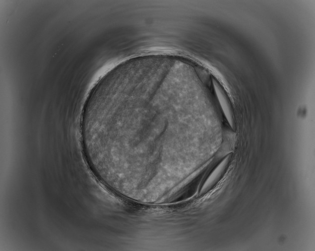 X0000099981373200806201415