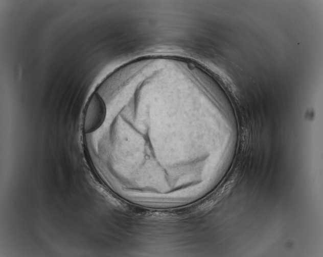 X0000099981374200806201415