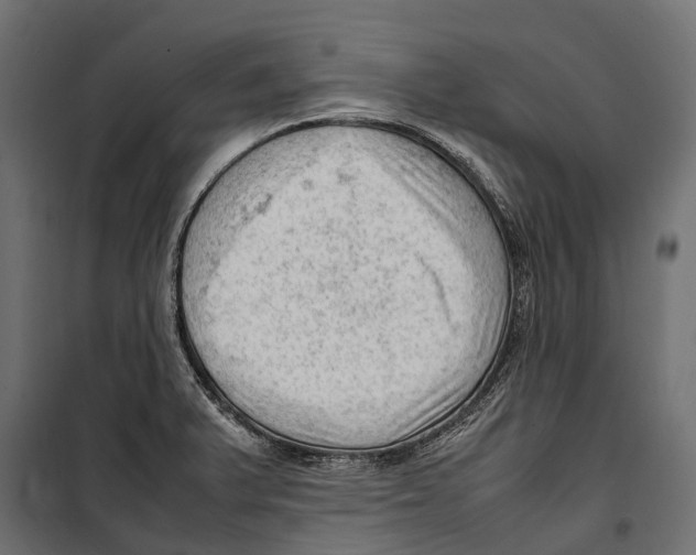 X0000099981375200806201415