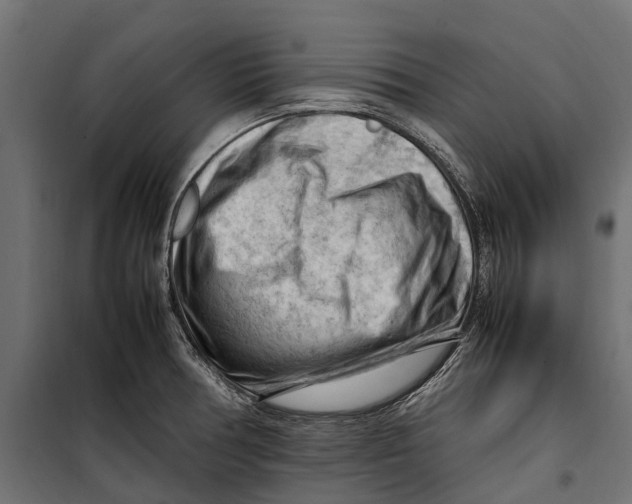 X0000099981378200806201415