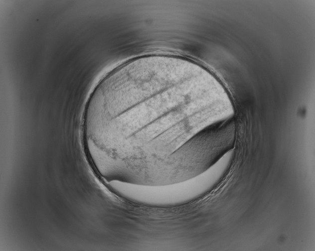 X0000099981379200806201415