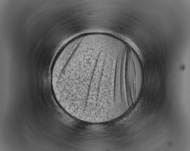 X0000099981380200806201415