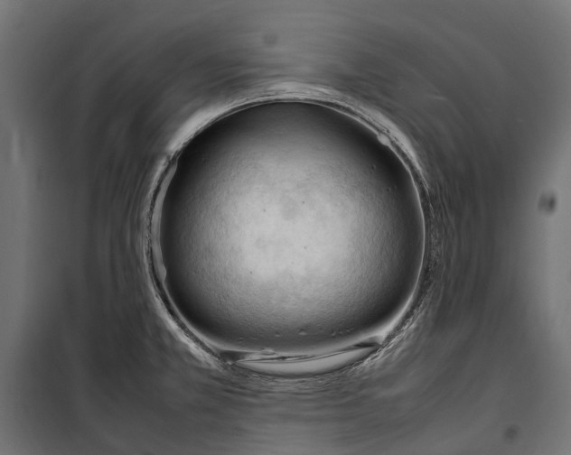 X0000099981381200806201415