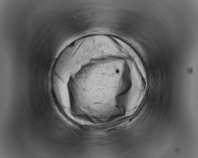 X0000099981382200806201415